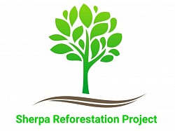 Reforestation