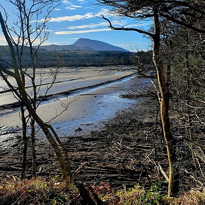 View of Muckish from Ards Forest Salt Marsh Trail